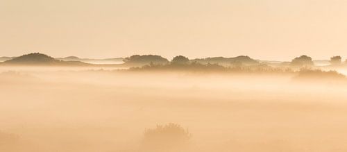 Mistige zonsopkomst  in de duinen