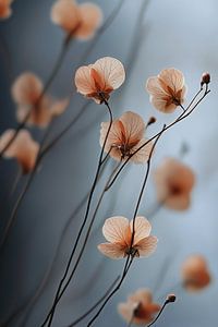 Fleurs en rose saumon