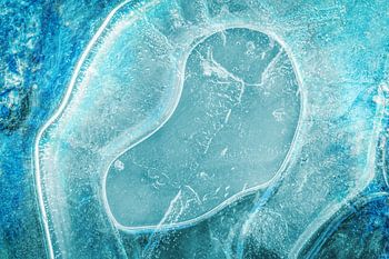 Auszug aus der Natur #7 blau