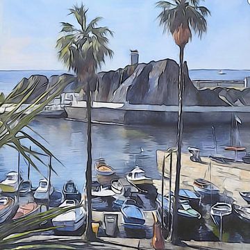 L'agriculture à Madère #3 sur zam art