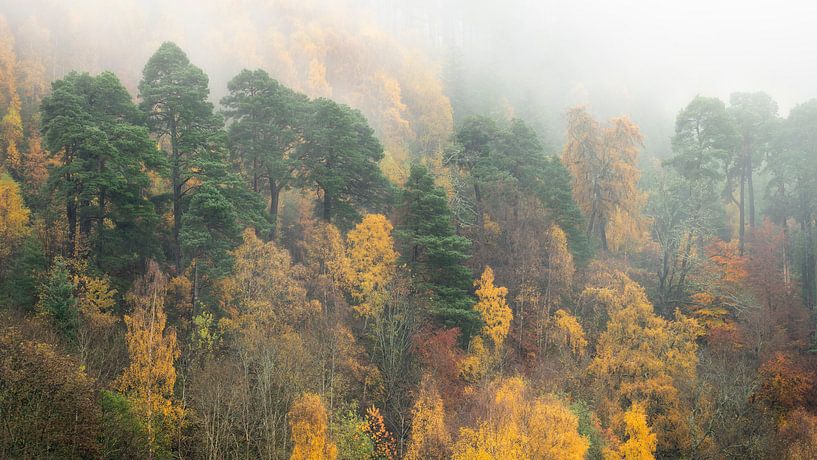 Herfst in de hooglanden van Schotland van Jos Pannekoek