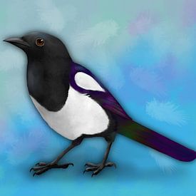 Magpie digital illustration by Bianca Wisseloo