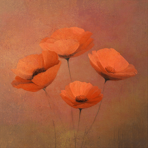 Warm orange flowers against an atmospheric background.