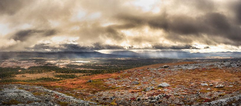 Rough and colourful autumn fields by Marc Hollenberg