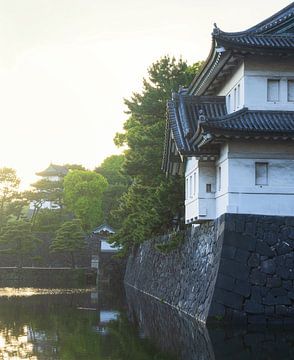 Tokio Keizerlijk Paleis en Nationale Tuin Kokyo (Japan) van Marcel Kerdijk