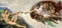 Die Erschaffung von Adam, Michelangelo von Diverse Meesters Miniaturansicht