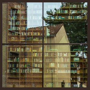 einen Blick in die Bibliothek werfen
