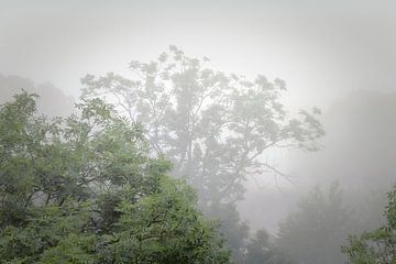 Mist in de zomer van Jan van der Knaap