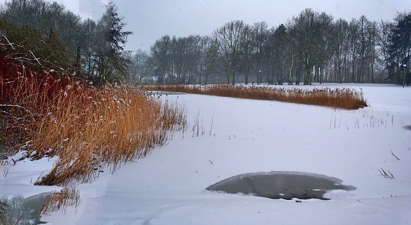 Panorama des plaines inondables par Edgar Schermaul