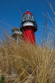 Leuchtturm von Vlieland mit Strandhafer von Lucas Planting