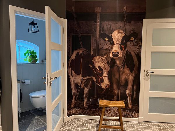 Kundenfoto: Kühe im alten Kuhstall von Inge Jansen, auf Fototapete