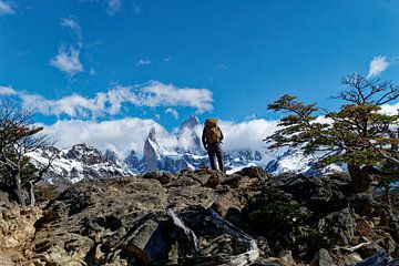 Trekking in der Wildnis Patagoniens