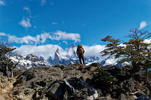 Trekking in the Pataginian wilderness