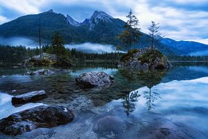 Frühnebel am Hintersee