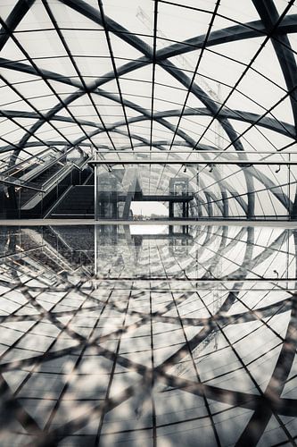 Modern gebouw van glas en staal, de hal wordt weerspiegeld in het water