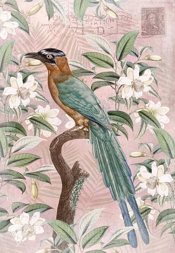 Romantic Bird Garden von Andrea Haase