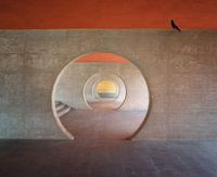 Circles