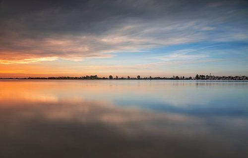 Holland Country Sheep
