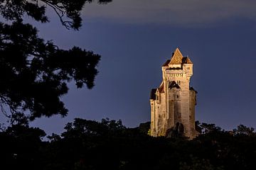 Kasteel van Liechtenstein van Roland Brack