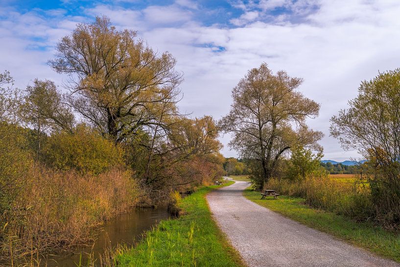 Sentier de randonnée dans le marais de Murnau par ManfredFotos