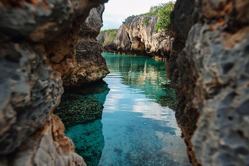 Durchsichtige von Imperial Art House