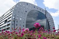 Markthalle Rotterdam