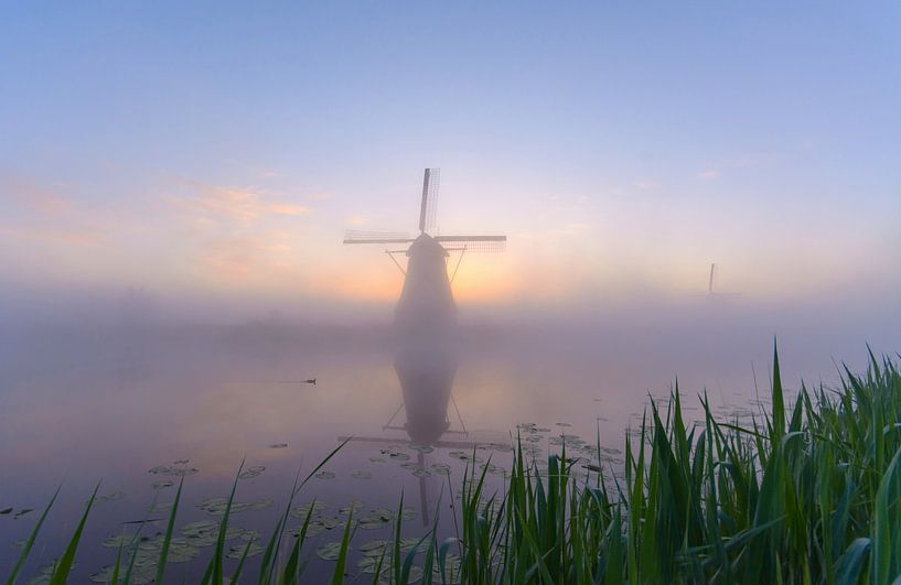 Kinderdijk op z'n mooist! van Remco Van Daalen