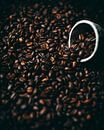 coffee beans by Daisy de Fretes thumbnail
