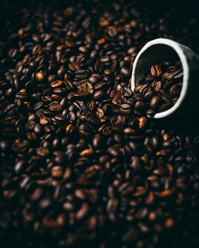 coffee beans