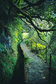levada à Madeira sur jonathan Le Blanc
