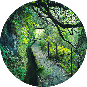 levada in madeira