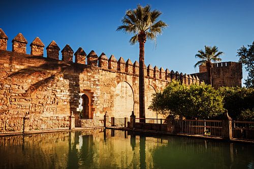 Cordoba - Alcazar de los Reyes Cristianos van Alexander Voss