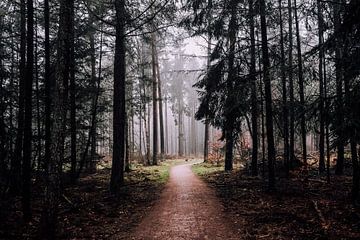 Waldweg im Nebel von Gaby Jongenelen