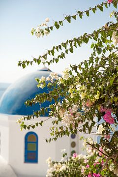 Bloemen bij een blauw-wit kerkje op Santorini van Laura V