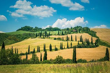 De glooiende heuvels van Toscane! van Truus Nijland