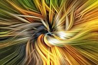 Orange black hole
