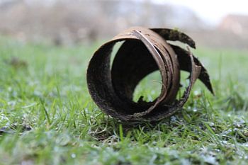 Schors als doorkijkje