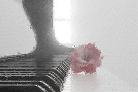 Cherry blossom flower lies on piano keys by Besa Art