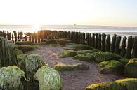 Holzbuhne bei Rantum auf Sylt mit Sonnenuntergang von Martin Flechsig Miniaturansicht