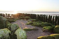 Holzbuhne bei Rantum auf Sylt mit Sonnenuntergang