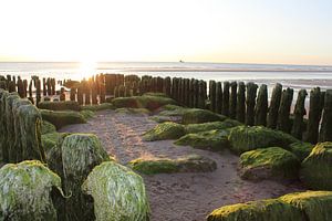 Holzbuhne bei Rantum auf Sylt mit Sonnenuntergang