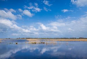Wasser und Schilf Munnikenland