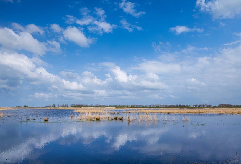 water en riet Munnikenland van Eugene Winthagen