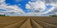 Frisch gepflügtes Kartoffelfeld mit geradlinigem Muster und abnehmender Perspektive in Flevoland an  von Sjoerd van der Wal Fotografie Miniaturansicht