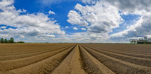 Aardappelveld patroon van aardappelruggen in het voorjaar van Sjoerd van der Wal Fotografie