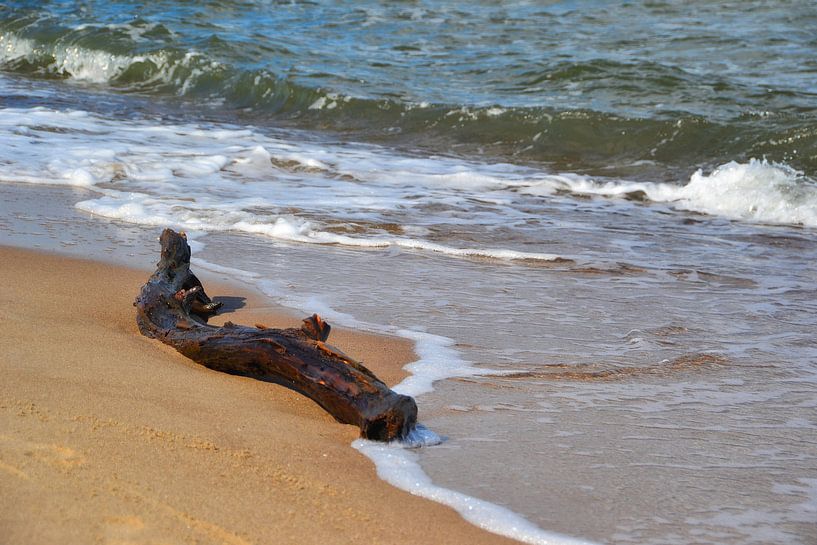 Déchets flottants sur la plage par Heiko Kueverling
