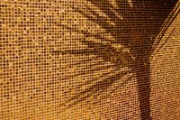 Palmboom op gouden tegels