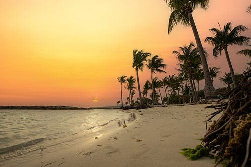 Plage de Sainte Anne, plage des Caraïbes en Guadeloupe