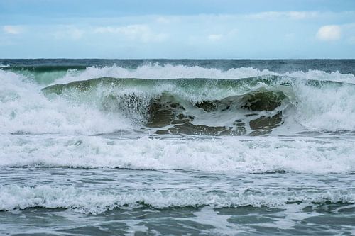 The Wave