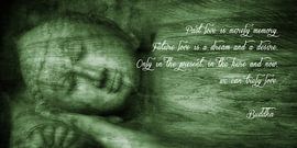 L O V E by Thomas Herzog